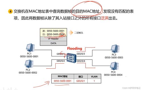 網絡互聯設備代理代辦 連接世界的橋梁與管家